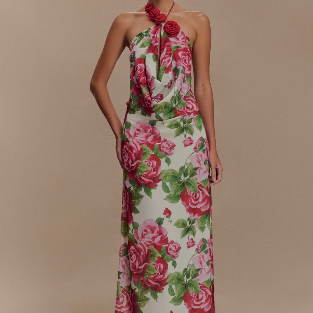 Meshki Rosalia Cowl Neck Maxi Dress Small
